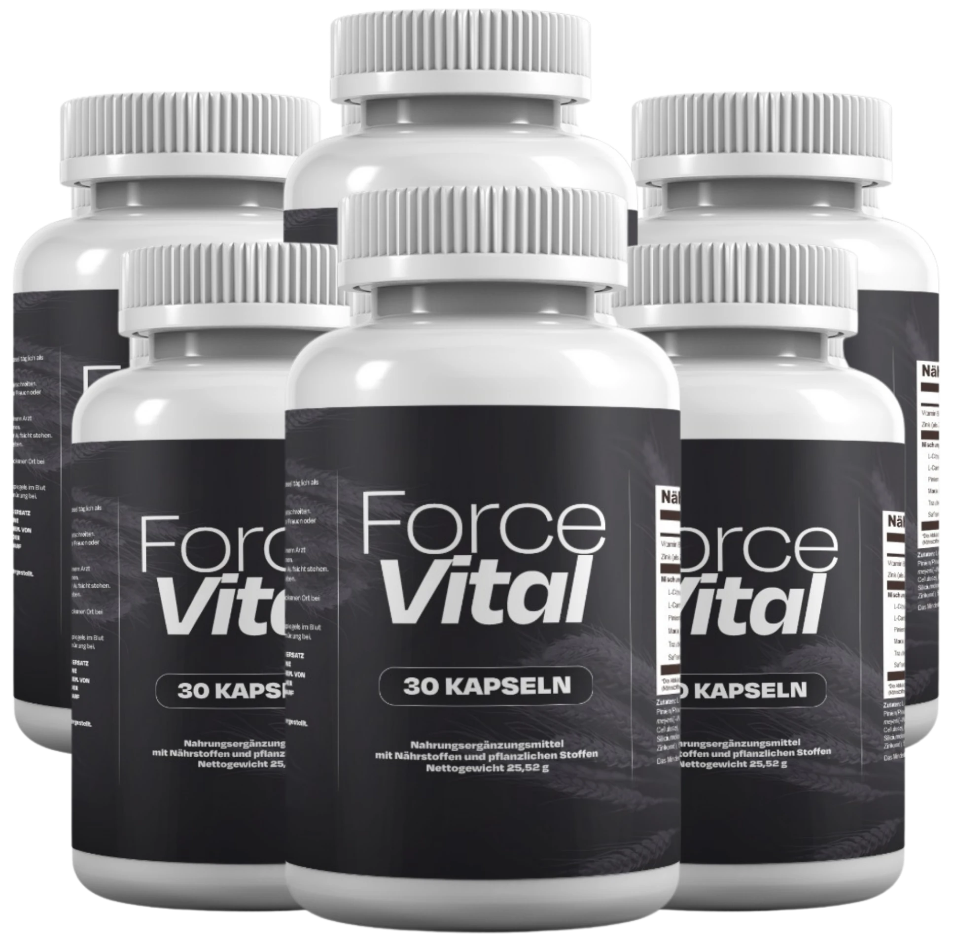 ForceVital 6 Flaschen Paket